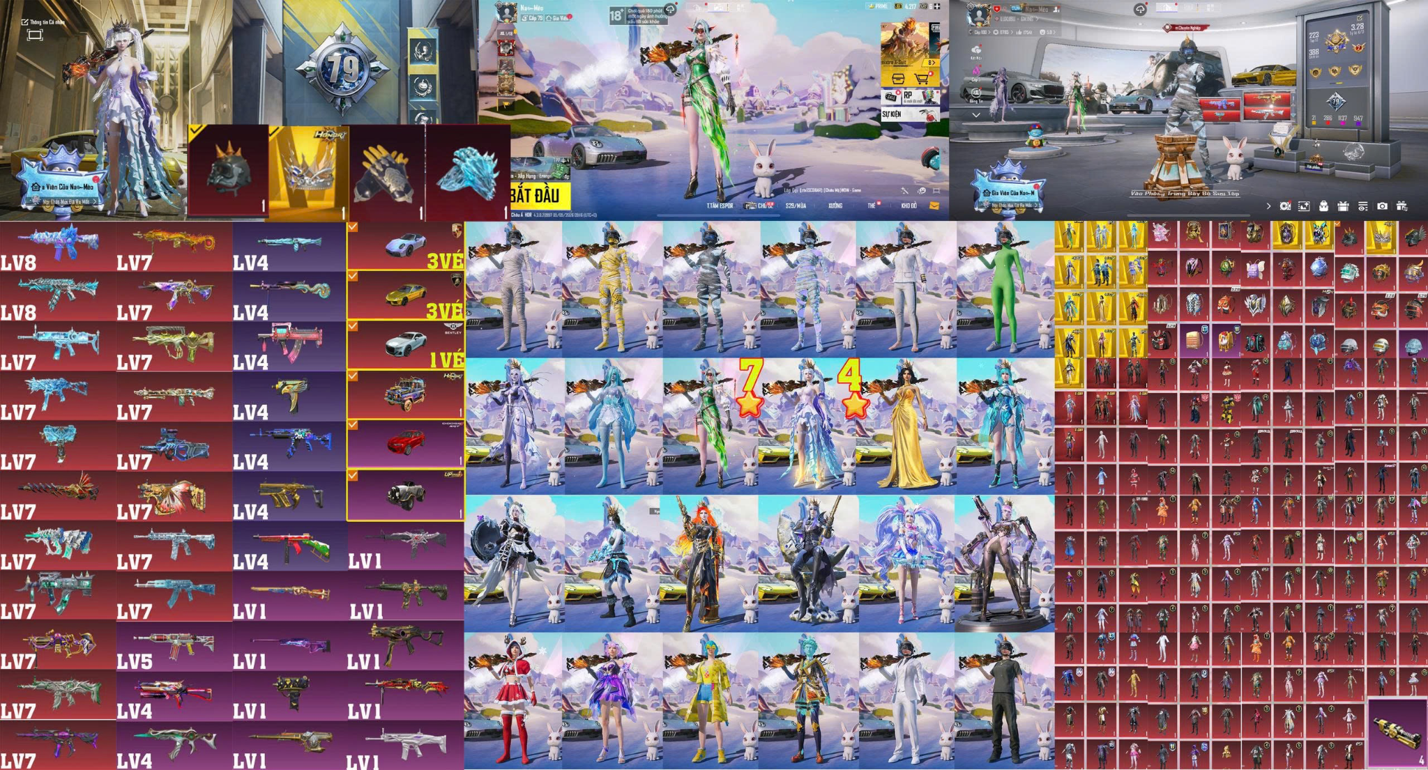 TH1